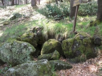 otta delle Femmine27052012 093